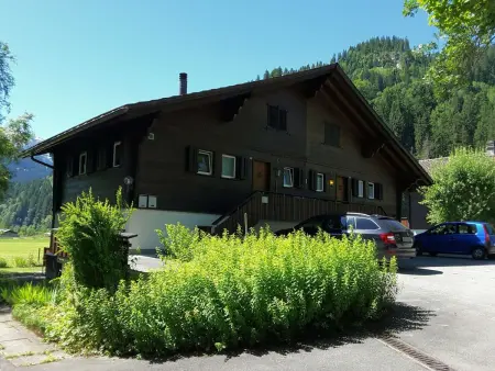 Chalet Claudia, Appartement 3 personnes à Lenk - Photo 1