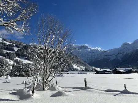 Chalet Claudia, Appartement 3 personnes à Lenk - Photo 10