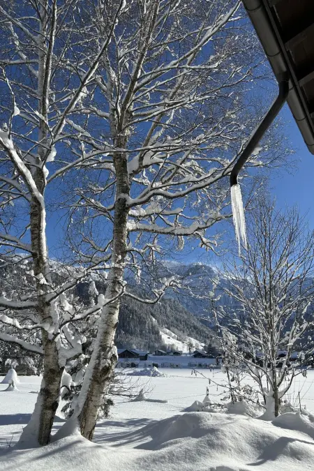 Chalet Claudia, Appartement 3 personnes à Lenk - Photo 11
