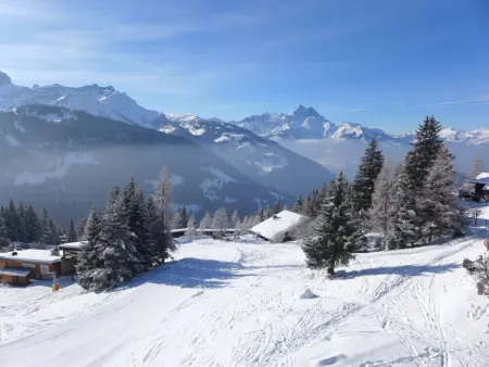 Les Petites Maraîches 132/389, Appartement 4 personnes à Alpe des Chaux - Photo 15