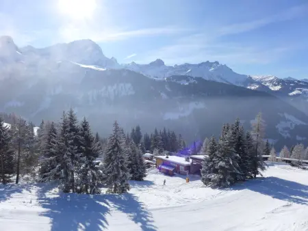 Les Petites Maraîches 132/389, Appartement 4 personnes à Alpe des Chaux - Photo 16