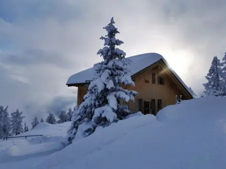 Amiel EG Süd, Appartement 5 personnes à Riederalp - Photo 3