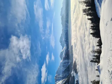 Amiel EG Süd, Appartement 5 personnes à Riederalp - Photo 13