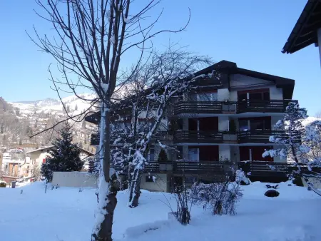 Birkenstrasse 56, Appartement 4 personnes à Engelberg - Photo 2
