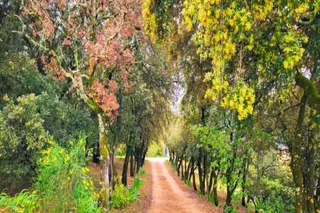 Villes sur Auzon, Escapade ensoleillée en Provence - Photo 28