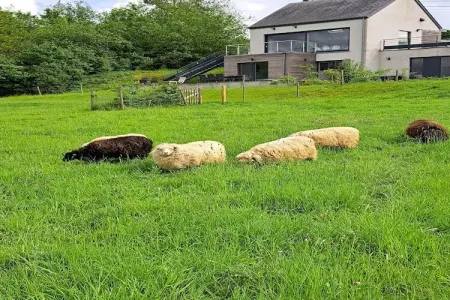 Alatienne, Maison de vacances Viroinval pour sept personnes - Photo 37