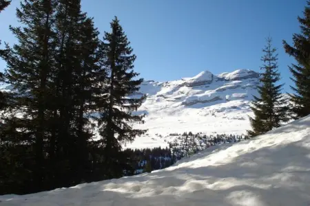 Les Portes du Grand Massif 4, Appartement alpin confortable pour 6 personnes - Photo 35