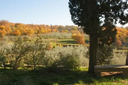 Villa Melograno, Villa avec piscine et charme de la région viticole - Photo 21