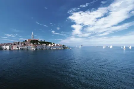Villa Artien, Villa à Poreč avec piscine privée - Photo 37