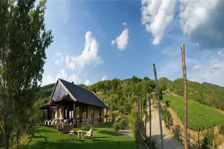 Villa Leo, Villa en Toscane avec Domaine Viticole - Photo 35