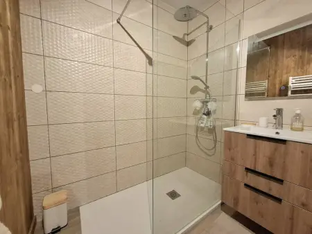 T2 cabine lumineux avec terrasse proche commerces et pistes - Photo 5