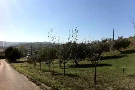 Casa Picciano, maison de campagne avec piscine privée dans les collines des Abruzzes - Photo 22