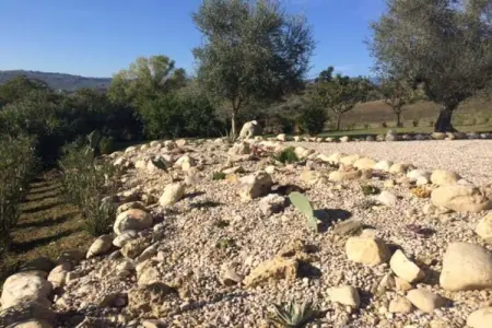 Casa Picciano, maison de campagne avec piscine privée dans les collines des Abruzzes - Photo 33