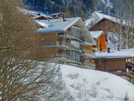 Silence Apt. H, Chalet 2 personnes à Wengen - Photo 18