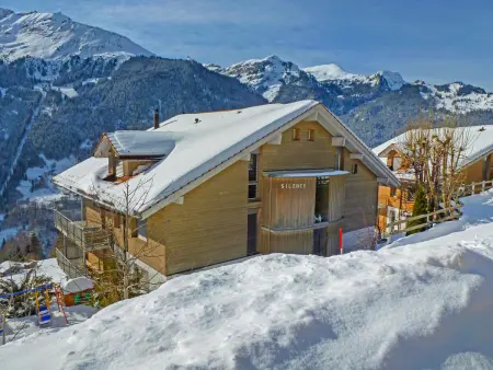 Silence Apt. H, Chalet 2 personnes à Wengen - Photo 21
