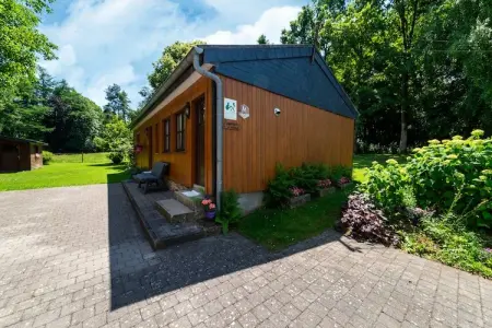 Les Bouleaux, Chalet de charme à Vielsalm - Photo 7