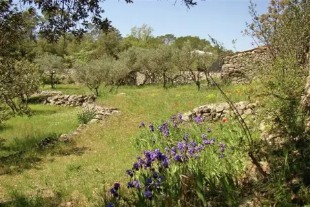 Leï Restanques, Maison à Carcès avec piscine et vignobles - Photo 24