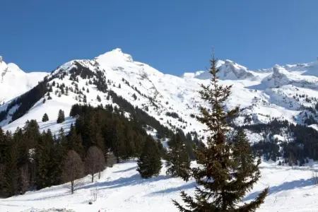 Résidence Prestige Mendi Alde 3, Chalet à La Clusaz avec Spa et Ski - Photo 28