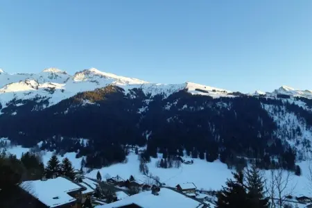 Résidence Prestige Mendi Alde 3, Chalet à La Clusaz avec Spa et Ski - Photo 31