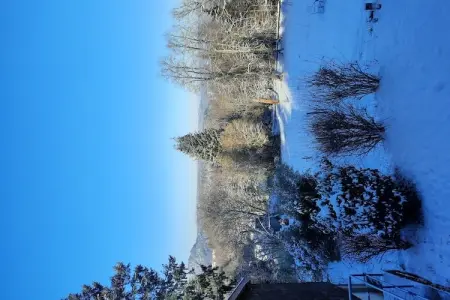 Chalet Saint Bernard - Raon l'Étape, Chalet à Raon-l'Étape près du lac - Photo 23