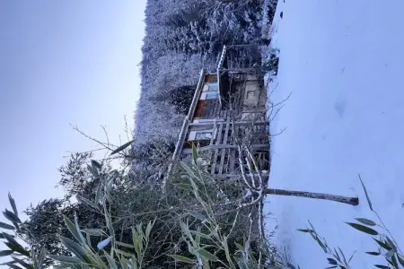 Chalet Saint Bernard - Raon l'Étape, Chalet à Raon-l'Étape près du lac - Photo 24