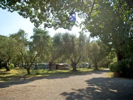 Camping Village Il Fontino, Maison 5 personnes à Scarlino - Photo 18
