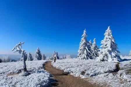 Résidence Le Hameau du Mottaret 1, Charmante escapade au ski - Photo 36