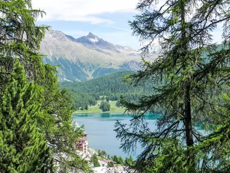 Chesa Cripels I, Appartement 4 personnes à St. Moritz - Photo 4