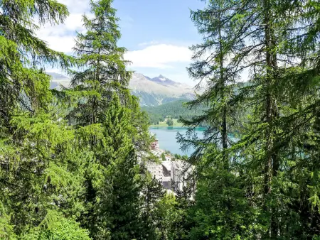 Chesa Cripels I, Appartement 4 personnes à St. Moritz - Photo 14
