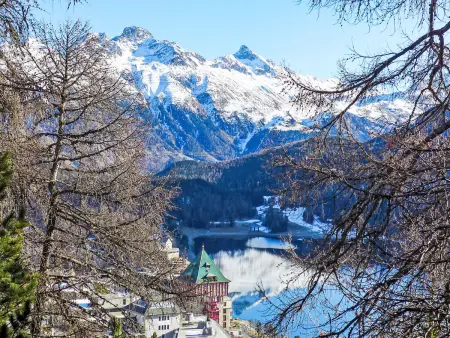 Chesa Cripels I, Appartement 4 personnes à St. Moritz - Photo 15