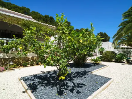 El Palmeral, Villa 6 personnes à Javea - Photo 32