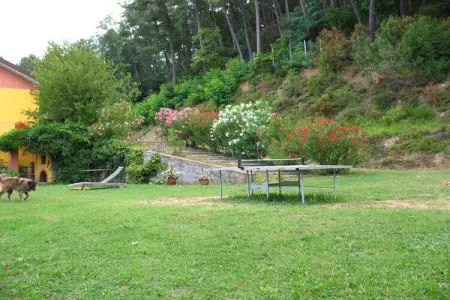 Nelverde 12, Maison à Pescia avec piscine privée - Photo 29