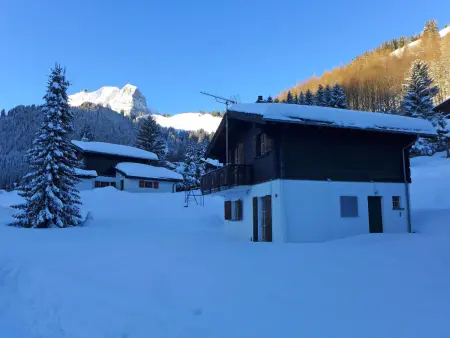 Chalet Castor, Chalet 6 personnes à Moléson sur Gruyères - Photo 10