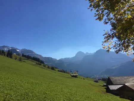 Meieli, Appartement 2 personnes à Lenk - Photo 3