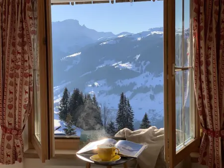 Meieli, Appartement 2 personnes à Lenk - Photo 4