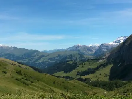 Meieli, Appartement 2 personnes à Lenk - Photo 12