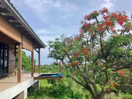 Chalet charmant à Le Gosier avec piscine privée - Photo 7