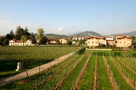La Dimora di Lorenzo - Lago d'Iseo Franciacorta, Villa à Capriolo près du lac d'Iseo - Photo 26