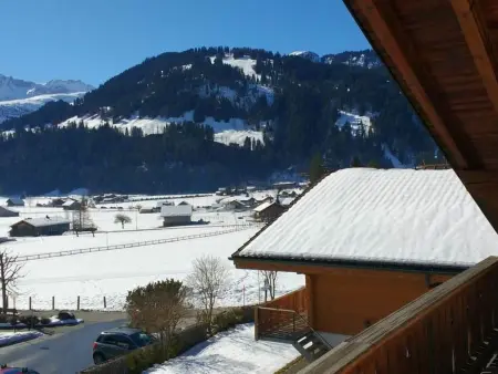 Bärnermutz # 2, Appartement 4 personnes à Lenk - Photo 4