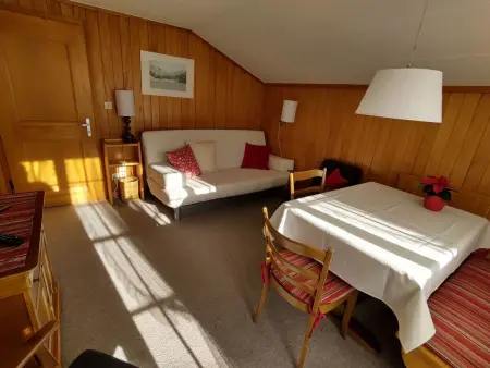 Bärnermutz # 2, Appartement 4 personnes à Lenk - Photo 12