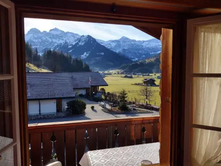Bärnermutz # 2, Appartement 4 personnes à Lenk - Photo 17