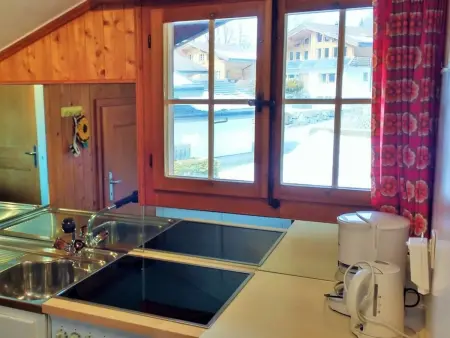 Bärnermutz # 2, Appartement 4 personnes à Lenk - Photo 20