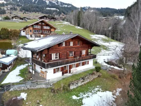 Steirösli 1. & 2. Stock, Appartement 8 personnes à Lenk - Photo 21