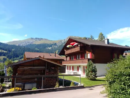 Bärnermutz # 1, Appartement 2 personnes à Lenk - Photo 2