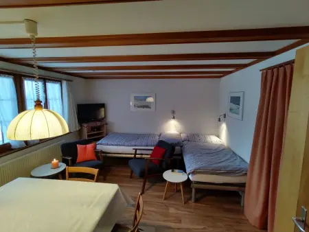 Bärnermutz # 1, Appartement 2 personnes à Lenk - Photo 6