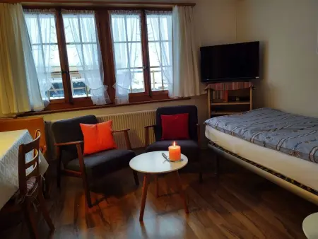 Bärnermutz # 1, Appartement 2 personnes à Lenk - Photo 7