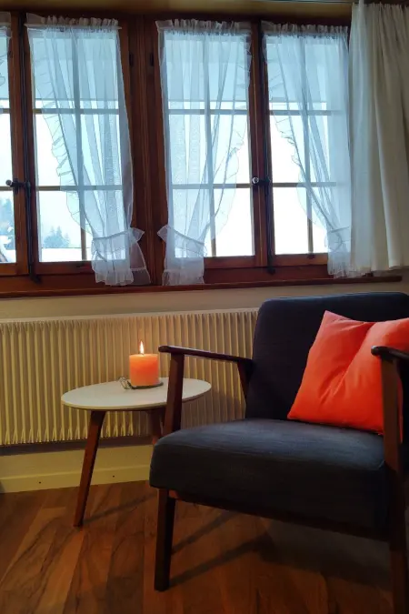 Bärnermutz # 1, Appartement 2 personnes à Lenk - Photo 8