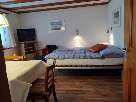 Bärnermutz # 1, Appartement 2 personnes à Lenk - Photo 9