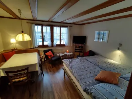 Bärnermutz # 1, Appartement 2 personnes à Lenk - Photo 10