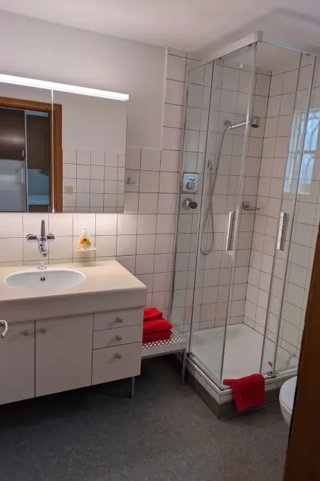 Bärnermutz # 1, Appartement 2 personnes à Lenk - Photo 16
